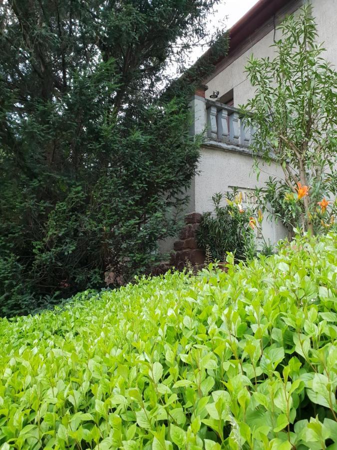 Kasza Villa Балатонфюред Экстерьер фото