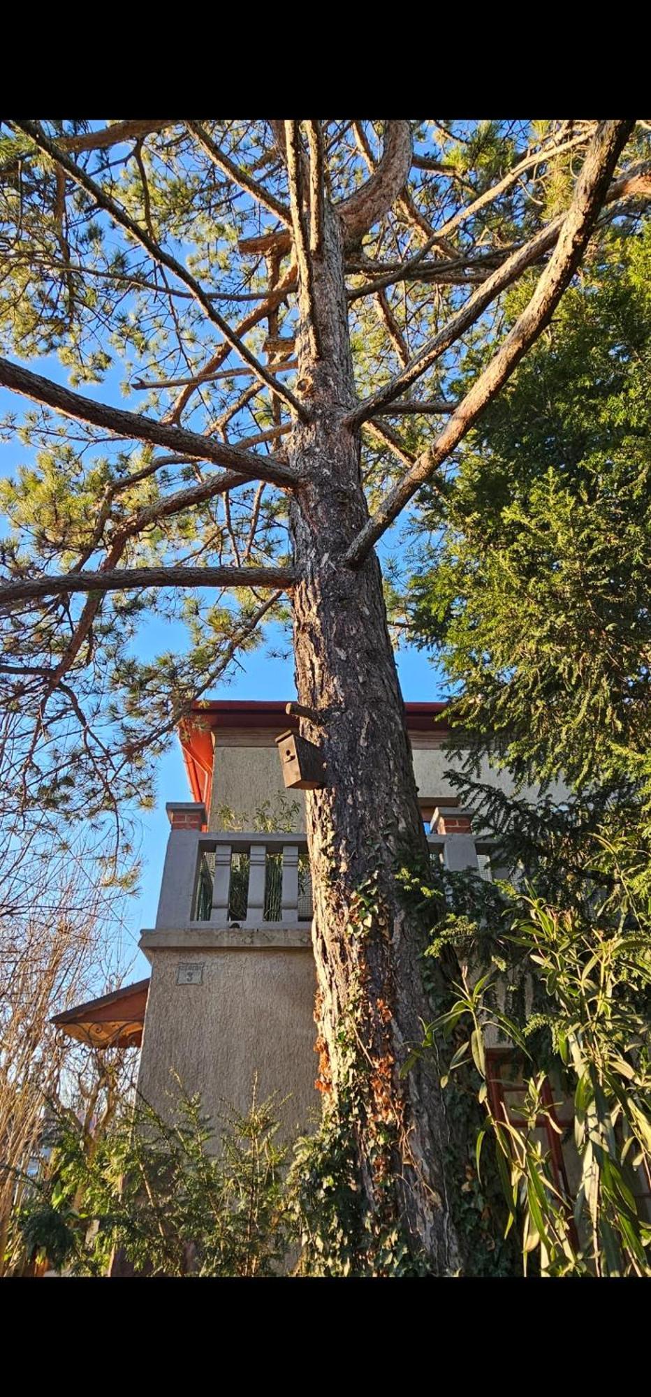 Kasza Villa Балатонфюред Экстерьер фото